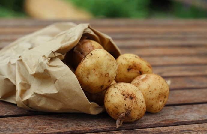 Карантинные меры на импорт картофеля в Украине.
