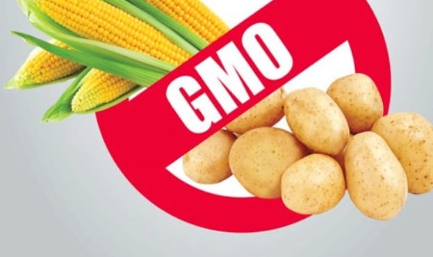 Под знаком ГМО.