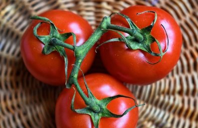 Розумні дрони на варті здоров'я томатів.